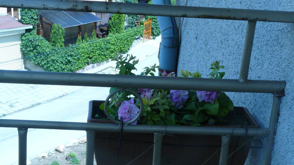 Geto Apartment Belogradchik Exterior foto
